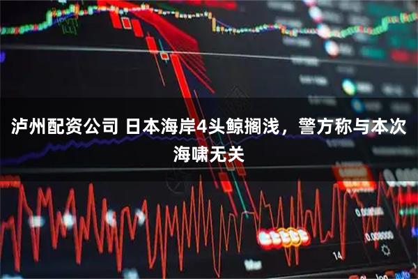 泸州配资公司 日本海岸4头鲸搁浅，警方称与本次海啸无关